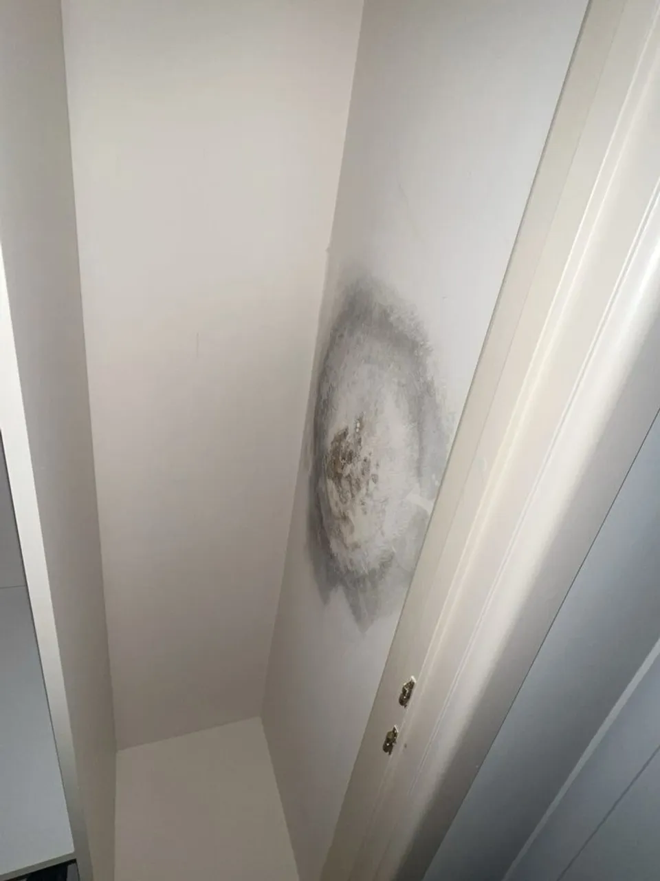 Linen-press reveal with a black mould bloom, the surface flaking in the middle of it